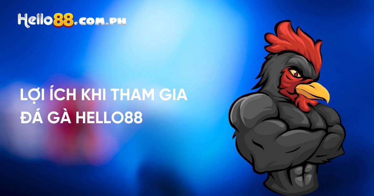 Lợi ích khi tham gia đá gà Hello88